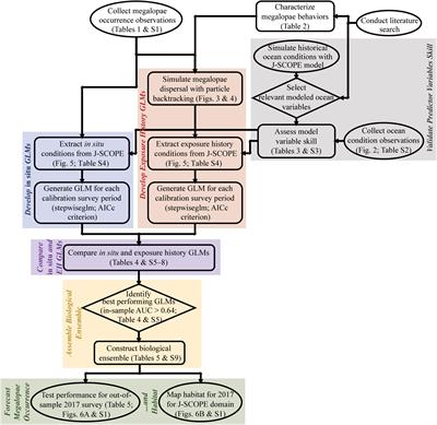 The Importance of Environmental Exposure History in Forecasting Dungeness Crab Megalopae Occurrence Using J-SCOPE, a High-Resolution Model for the US Pacific Northwest